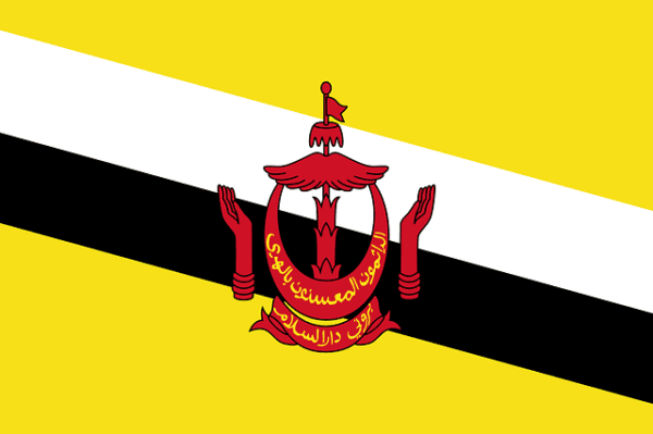 Brunei company
