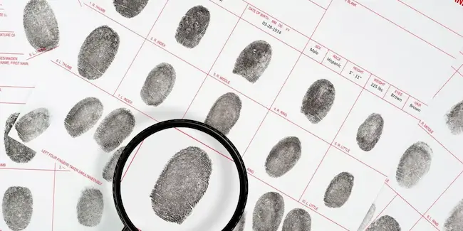 criminal record check