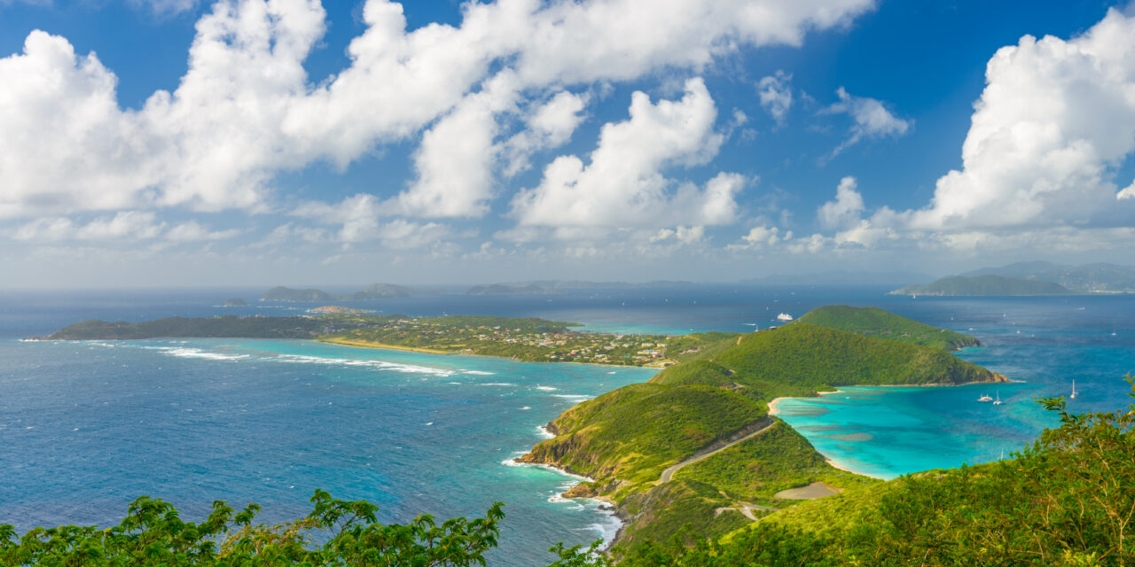 Discover 3 Ways This Billionaire Entrepreneur Uses Companies in The British Virgin Islands to Reduce His Taxes