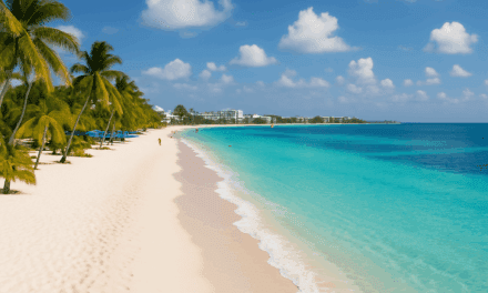 The Cayman Islands – A Perfect Tax Haven?